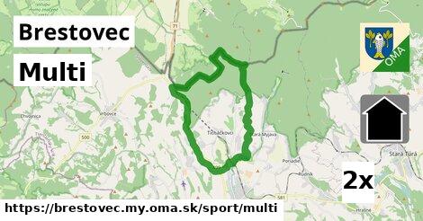 Multi, Brestovec, okres MY