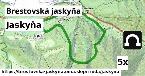 Jaskyňa, Brestovská jaskyňa