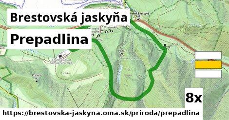 Prepadlina, Brestovská jaskyňa