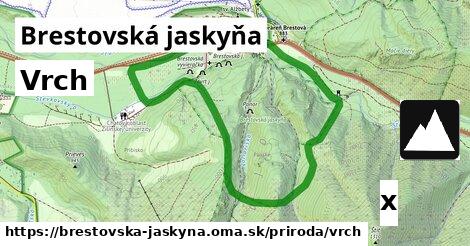 Vrch, Brestovská jaskyňa