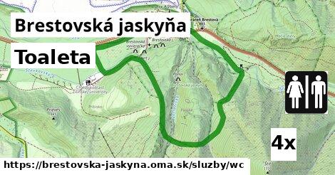 Toaleta, Brestovská jaskyňa