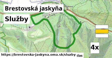 služby v Brestovská jaskyňa