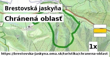 Chránená oblasť, Brestovská jaskyňa