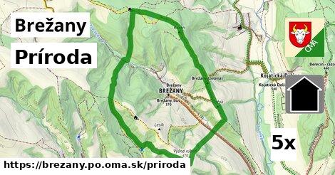 príroda v Brežany, okres PO