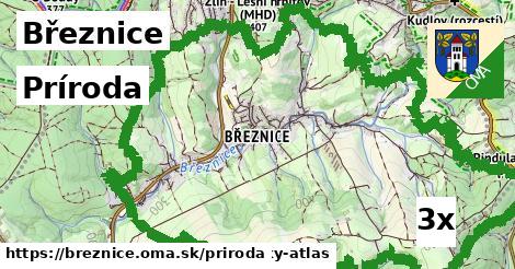 príroda v Březnice