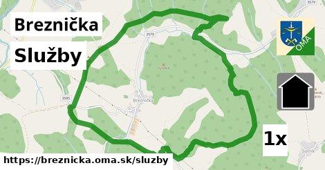 služby v Breznička