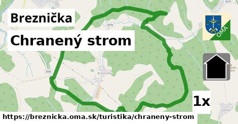 Chranený strom, Breznička