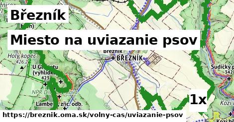 Miesto na uviazanie psov, Březník
