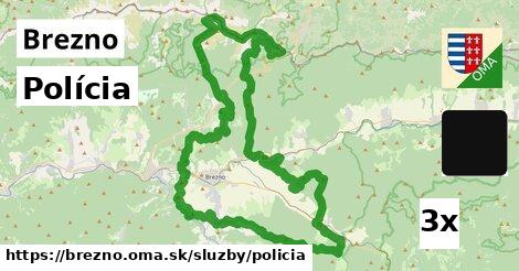 Polícia, Brezno