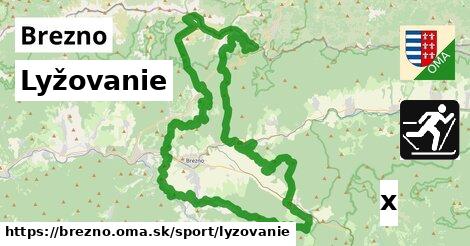 Lyžovanie, Brezno