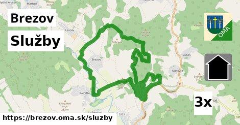 služby v Brezov