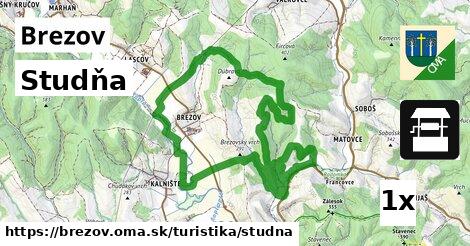 Studňa, Brezov