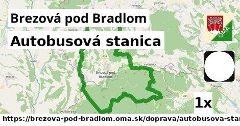 Autobusová stanica, Brezová pod Bradlom