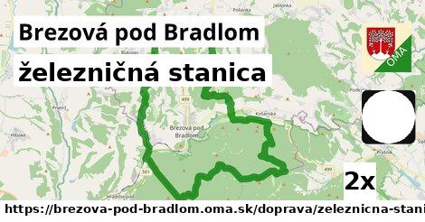 železničná stanica, Brezová pod Bradlom