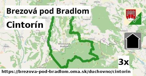 Cintorín, Brezová pod Bradlom