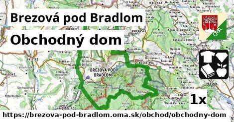 obchodný dom v Brezová pod Bradlom