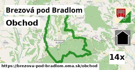 obchod v Brezová pod Bradlom