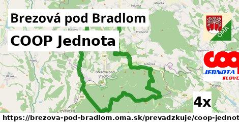 COOP Jednota, Brezová pod Bradlom