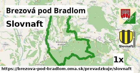 Slovnaft, Brezová pod Bradlom