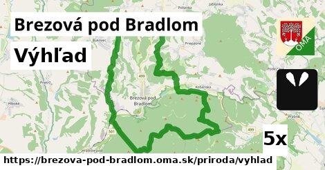 Výhľad, Brezová pod Bradlom