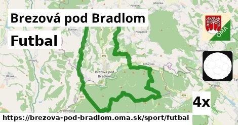 Futbal, Brezová pod Bradlom