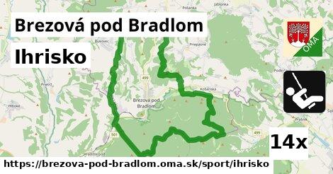 Ihrisko, Brezová pod Bradlom