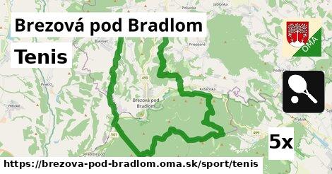 tenis v Brezová pod Bradlom