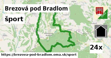 šport v Brezová pod Bradlom