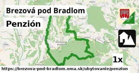 Penzión, Brezová pod Bradlom