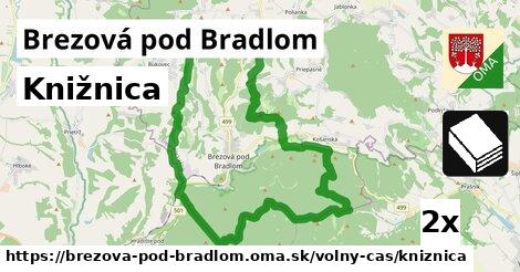 Knižnica, Brezová pod Bradlom