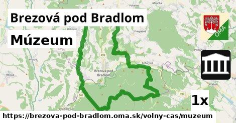 Múzeum, Brezová pod Bradlom