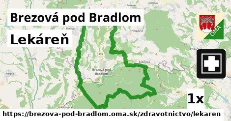 Lekáreň, Brezová pod Bradlom