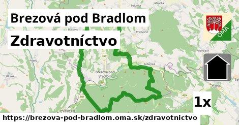 zdravotníctvo v Brezová pod Bradlom