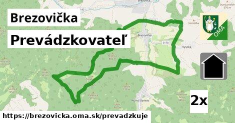 prevádzkovateľ v Brezovička