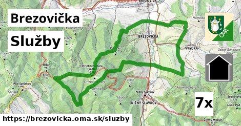 služby v Brezovička