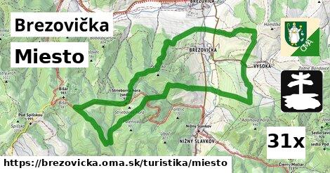 Miesto, Brezovička