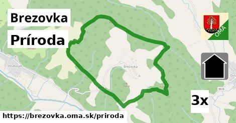 príroda v Brezovka