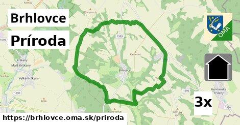 príroda v Brhlovce