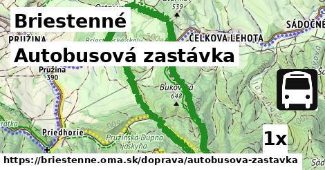 Autobusová zastávka, Briestenné