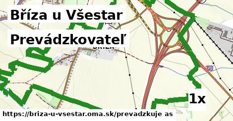 prevádzkovateľ v Bříza u Všestar