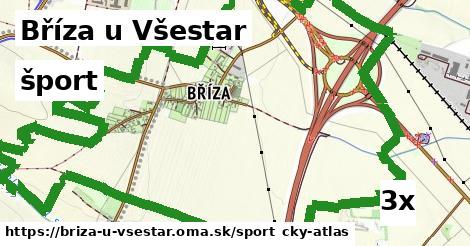 šport v Bříza u Všestar