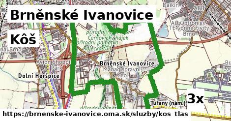 Kôš, Brněnské Ivanovice