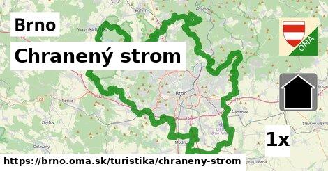 Chranený strom, Brno