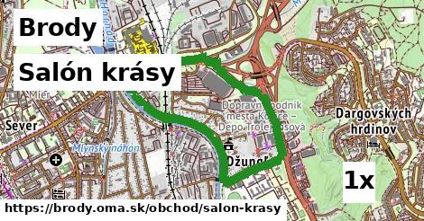 salón krásy v Brody
