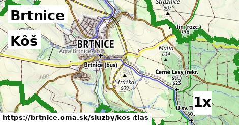 Kôš, Brtnice
