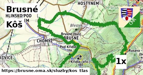 Kôš, Brusné