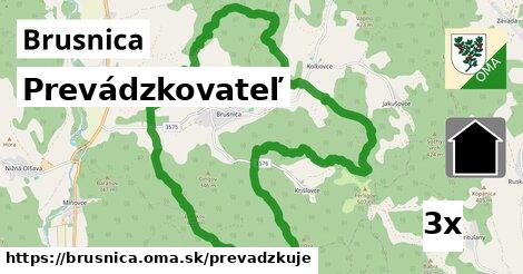 prevádzkovateľ v Brusnica