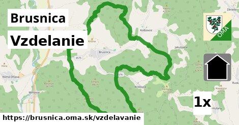 vzdelanie v Brusnica