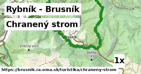 Chranený strom, Rybník - Brusník