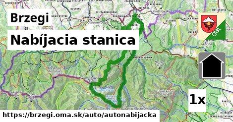 nabíjacia stanica v Brzegi